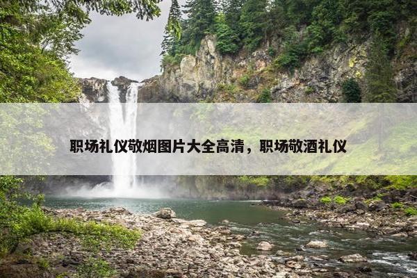 职场礼仪敬烟图片大全高清，职场敬酒礼仪