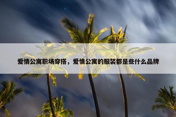 爱情公寓职场穿搭，爱情公寓的服装都是些什么品牌