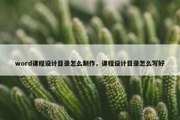 word课程设计目录怎么制作，课程设计目录怎么写好