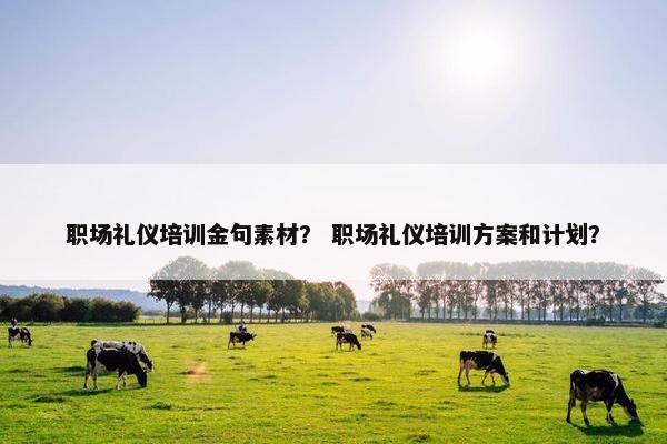 职场礼仪培训金句素材？ 职场礼仪培训方案和计划？