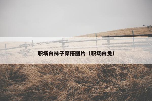 职场白袜子穿搭图片（职场白兔）