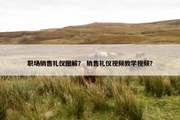 职场销售礼仪图解？ 销售礼仪视频教学视频？
