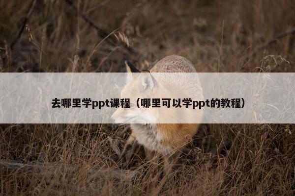 去哪里学ppt课程（哪里可以学ppt的教程）