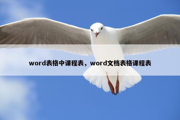 word表格中课程表，word文档表格课程表