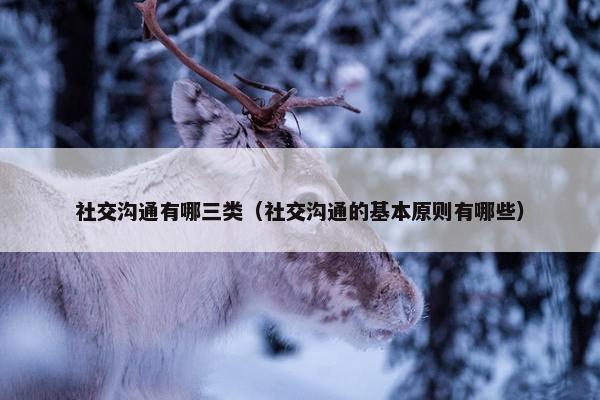 社交沟通有哪三类（社交沟通的基本原则有哪些）