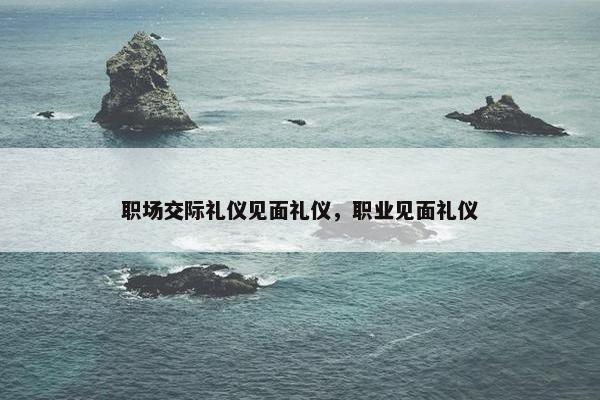 职场交际礼仪见面礼仪，职业见面礼仪