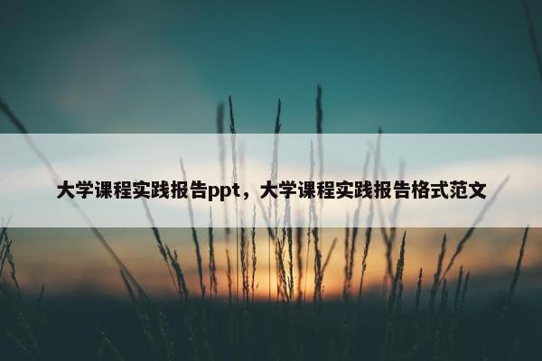 大学课程实践报告ppt，大学课程实践报告格式范文