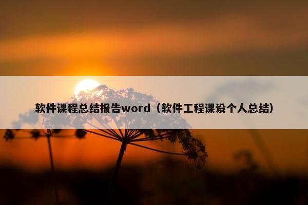 软件课程总结报告word（软件工程课设个人总结）