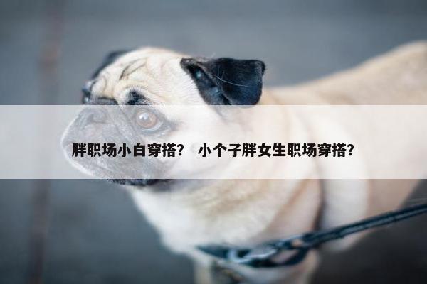 胖职场小白穿搭？ 小个子胖女生职场穿搭？