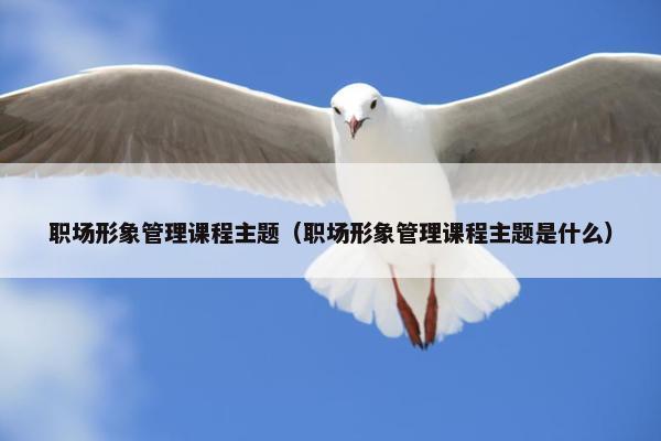 职场形象管理课程主题（职场形象管理课程主题是什么）