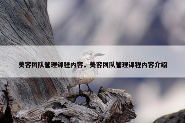 美容团队管理课程内容，美容团队管理课程内容介绍
