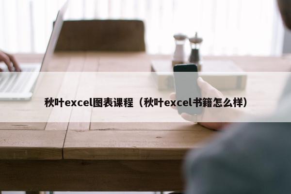 秋叶excel图表课程（秋叶excel书籍怎么样）