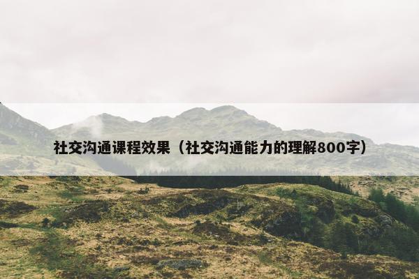 社交沟通课程效果（社交沟通能力的理解800字）