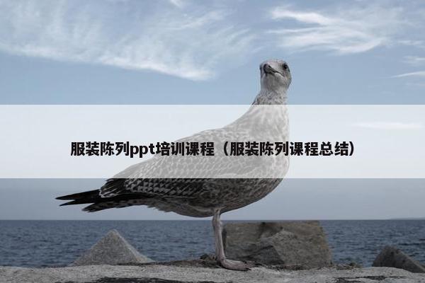 服装陈列ppt培训课程（服装陈列课程总结）