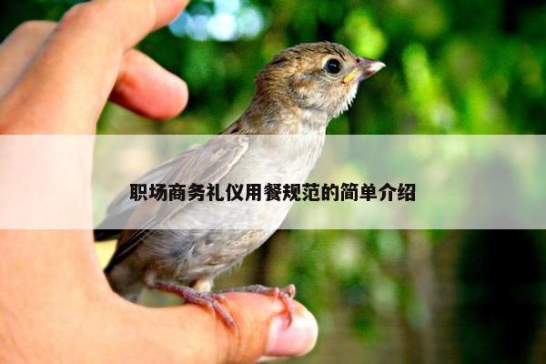 职场商务礼仪用餐规范的简单介绍