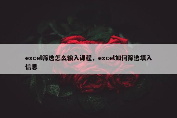 excel筛选怎么输入课程，excel如何筛选填入信息