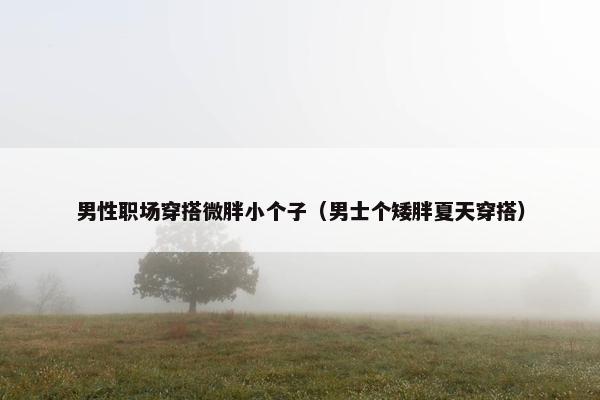 男性职场穿搭微胖小个子（男士个矮胖夏天穿搭）