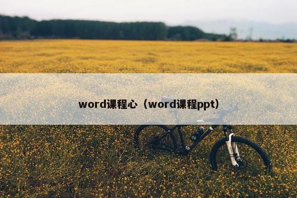 word课程心（word课程ppt）