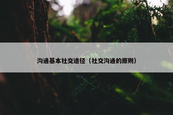 沟通基本社交途径（社交沟通的原则）