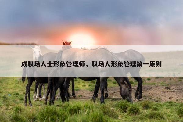 成职场人士形象管理师，职场人形象管理第一原则
