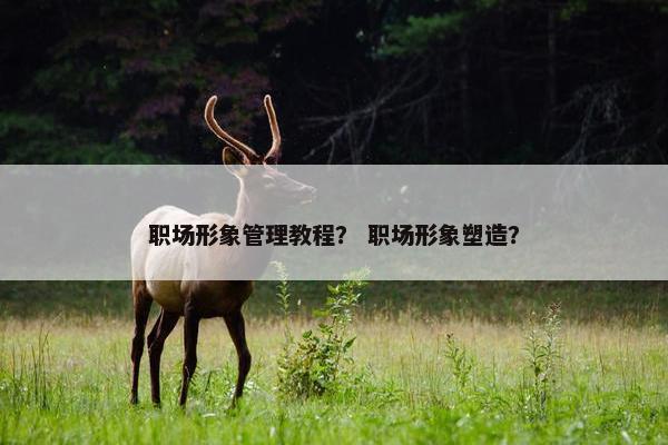 职场形象管理教程？ 职场形象塑造？