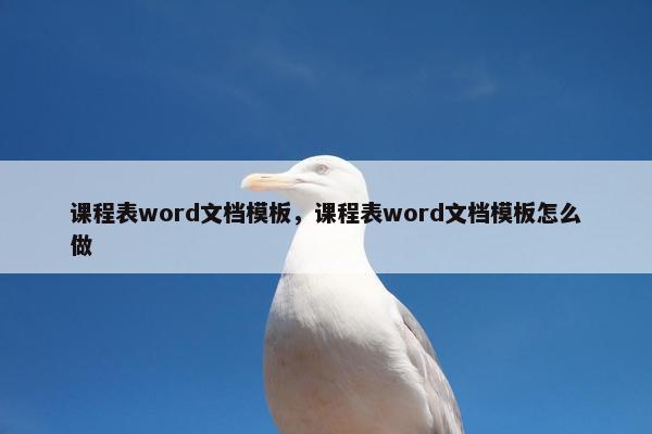 课程表word文档模板，课程表word文档模板怎么做