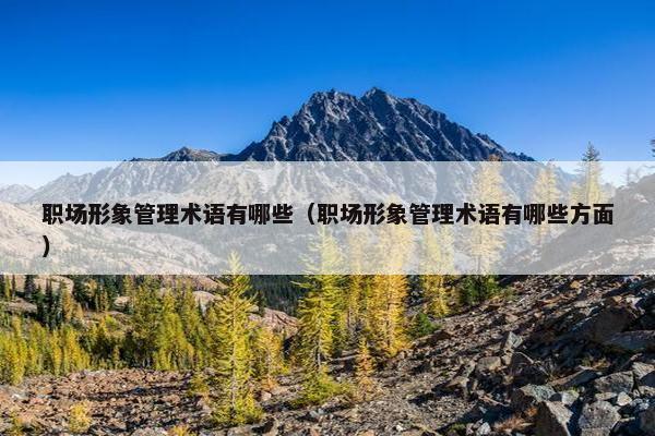 职场形象管理术语有哪些（职场形象管理术语有哪些方面）