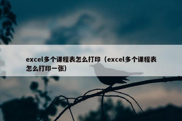 excel多个课程表怎么打印（excel多个课程表怎么打印一张）