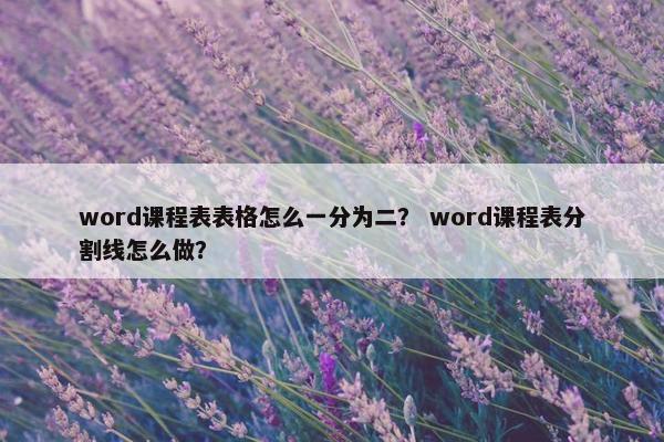 word课程表表格怎么一分为二？ word课程表分割线怎么做？