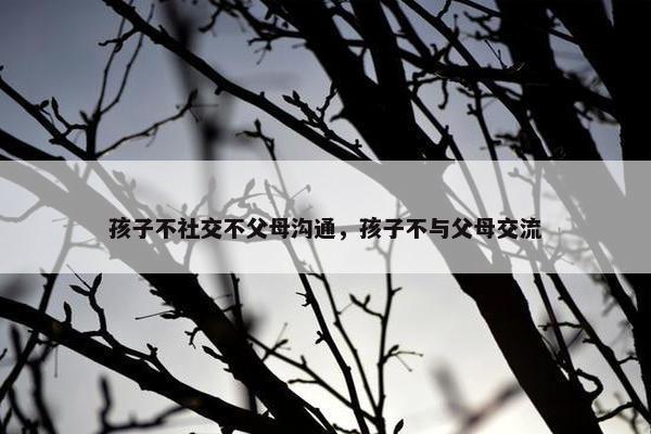 孩子不社交不父母沟通，孩子不与父母交流