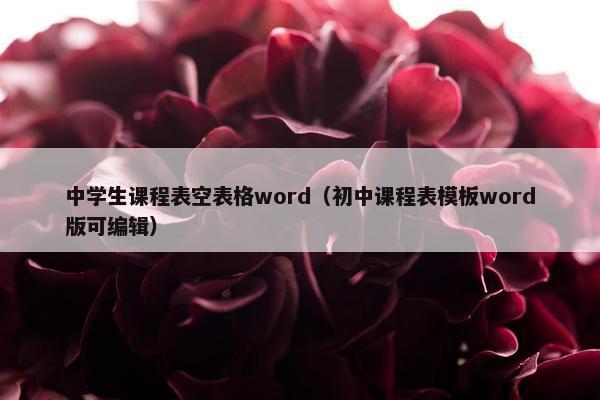 中学生课程表空表格word（初中课程表模板word版可编辑）