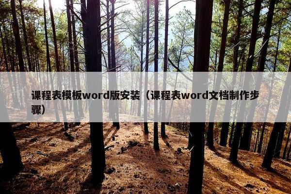 课程表模板word版安装（课程表word文档制作步骤）