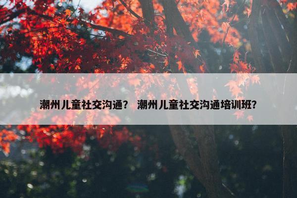 潮州儿童社交沟通？ 潮州儿童社交沟通培训班？