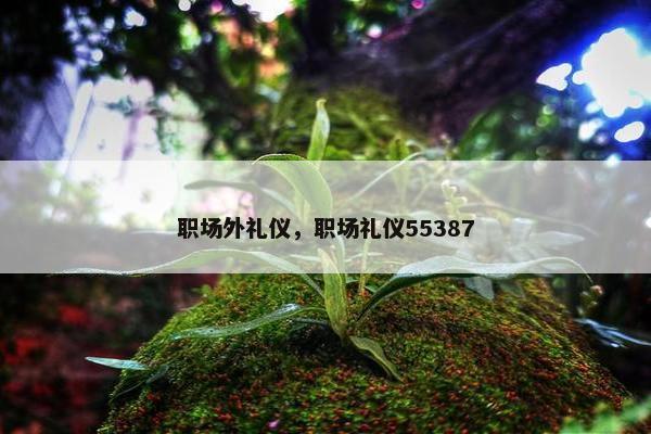 职场外礼仪，职场礼仪55387