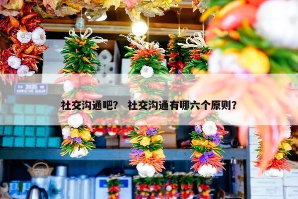 社交沟通吧？ 社交沟通有哪六个原则？
