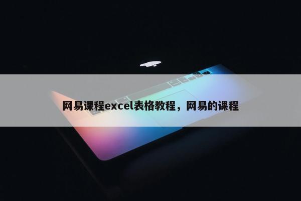 网易课程excel表格教程，网易的课程