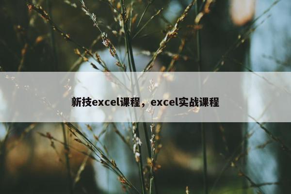 新技excel课程，excel实战课程