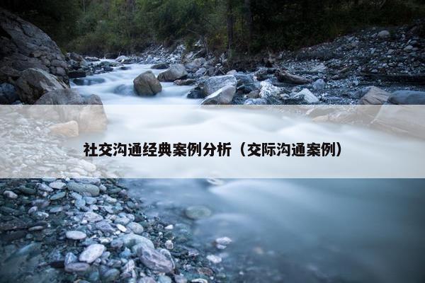社交沟通经典案例分析（交际沟通案例）