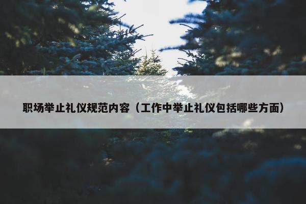 职场举止礼仪规范内容（工作中举止礼仪包括哪些方面）