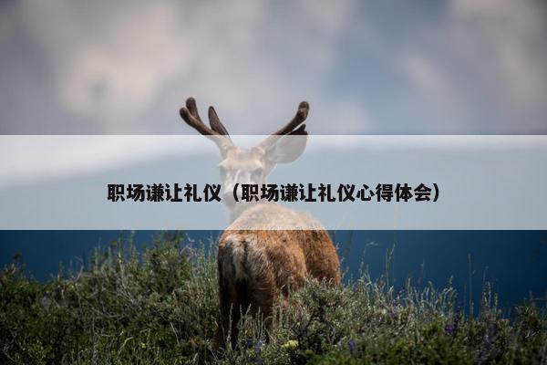 职场谦让礼仪（职场谦让礼仪心得体会）