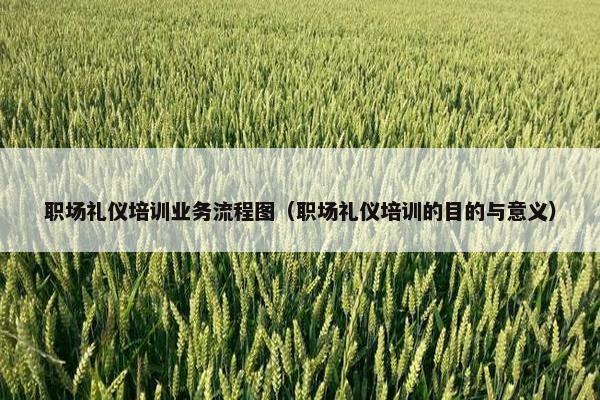 职场礼仪培训业务流程图（职场礼仪培训的目的与意义）