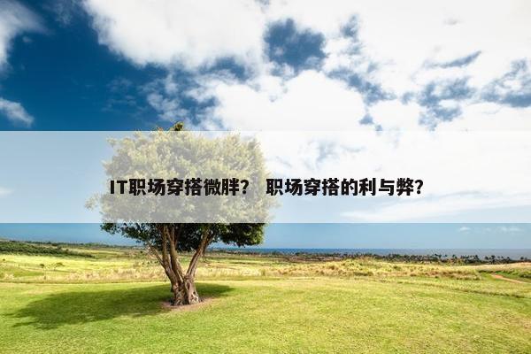 IT职场穿搭微胖？ 职场穿搭的利与弊？