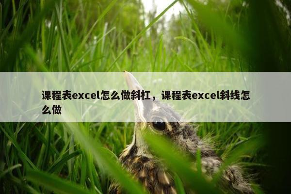 课程表excel怎么做斜杠，课程表excel斜线怎么做