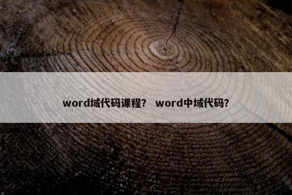word域代码课程？ word中域代码？
