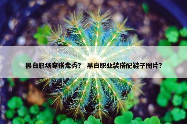 黑白职场穿搭走秀？ 黑白职业装搭配鞋子图片？