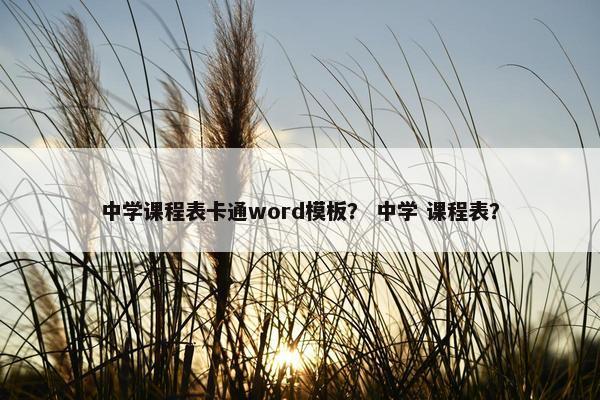 中学课程表卡通word模板？ 中学 课程表？