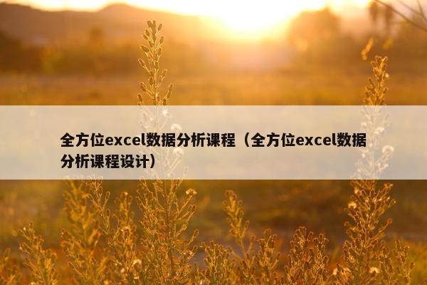 全方位excel数据分析课程（全方位excel数据分析课程设计）