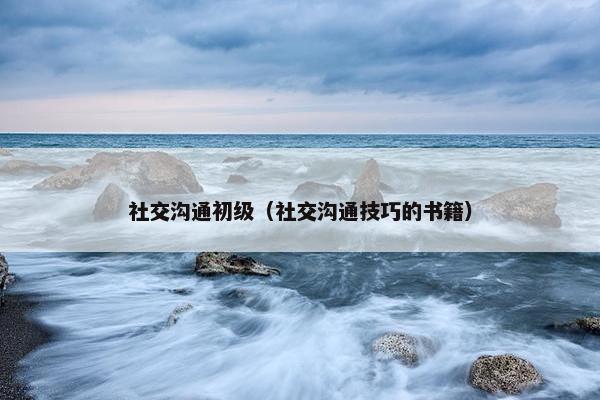 社交沟通初级（社交沟通技巧的书籍）