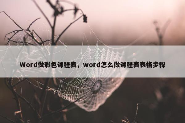 Word做彩色课程表，word怎么做课程表表格步骤
