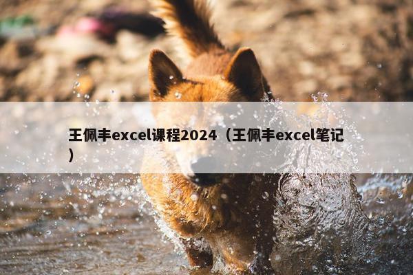 王佩丰excel课程2024（王佩丰excel笔记）